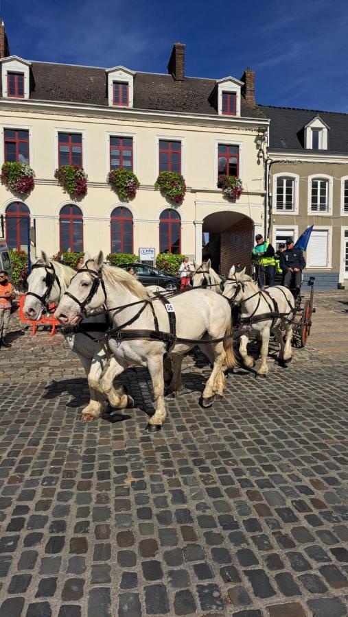 Gite La Grange 8Personnes Au Sein D'Un Elevage De Chevaux Brucquedal Buitenkant foto